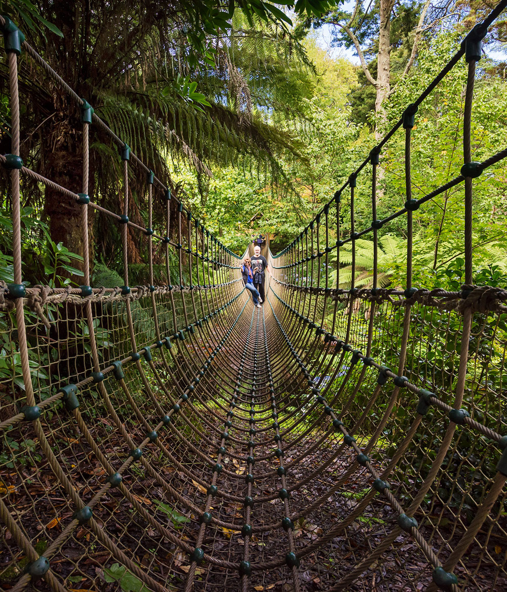 This Autumn At The Lost Gardens Of Heligan